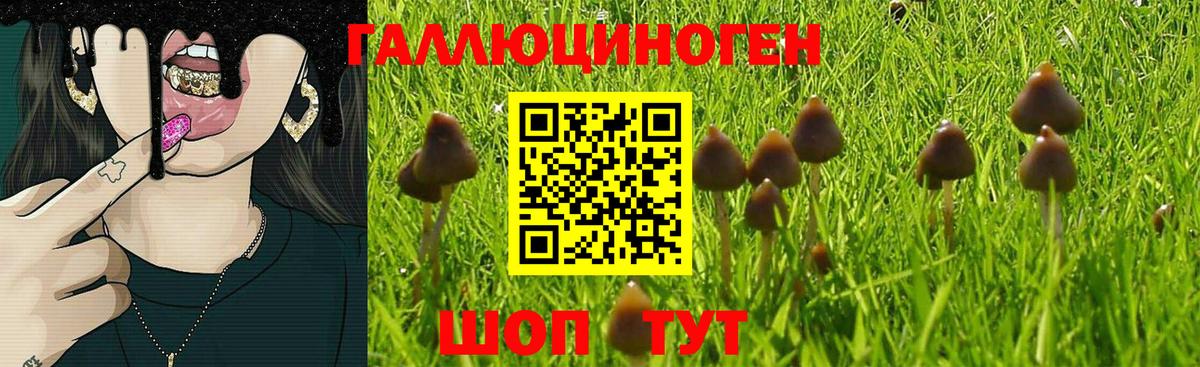 Слободской  Галлюциногенные грибы GOLDEN TEACHER  Вход с VPN 