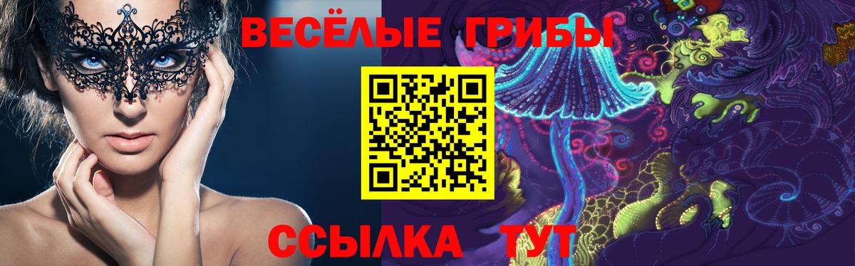 Псилоцибиновые грибы мицелий Слободской